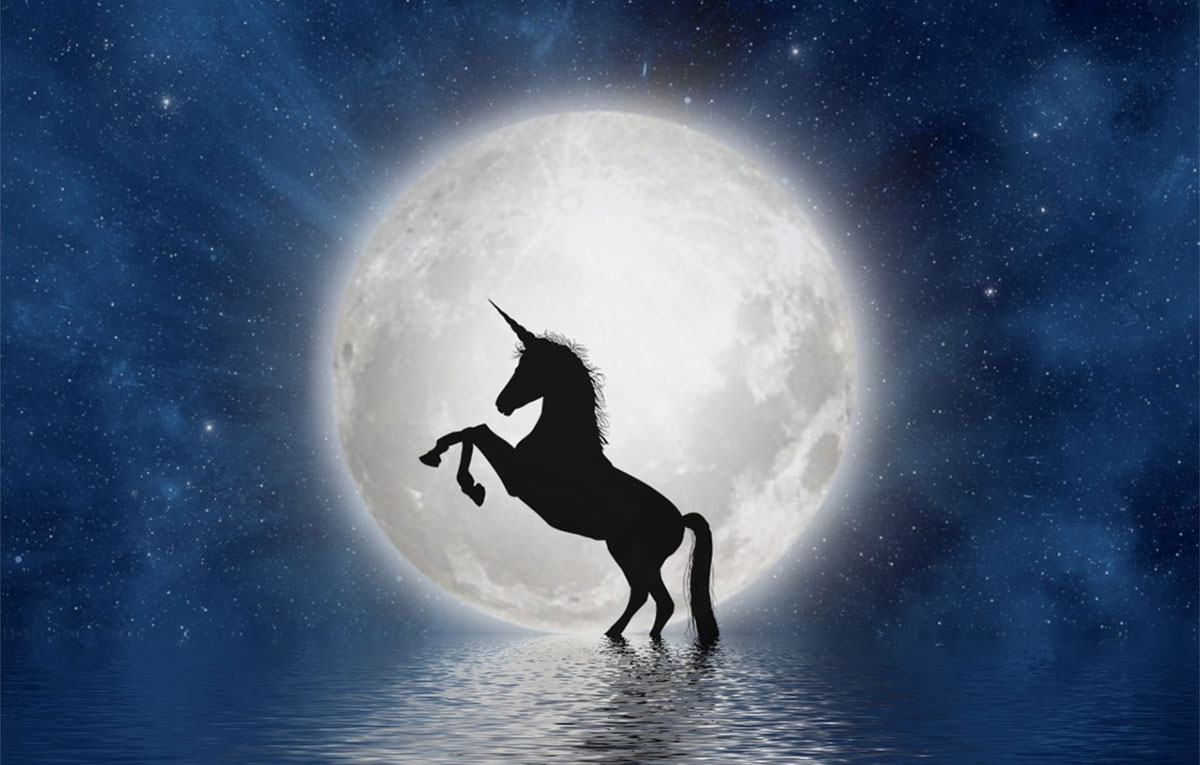 Looking for a recession-proof startup? Think twice before joining a unicorn