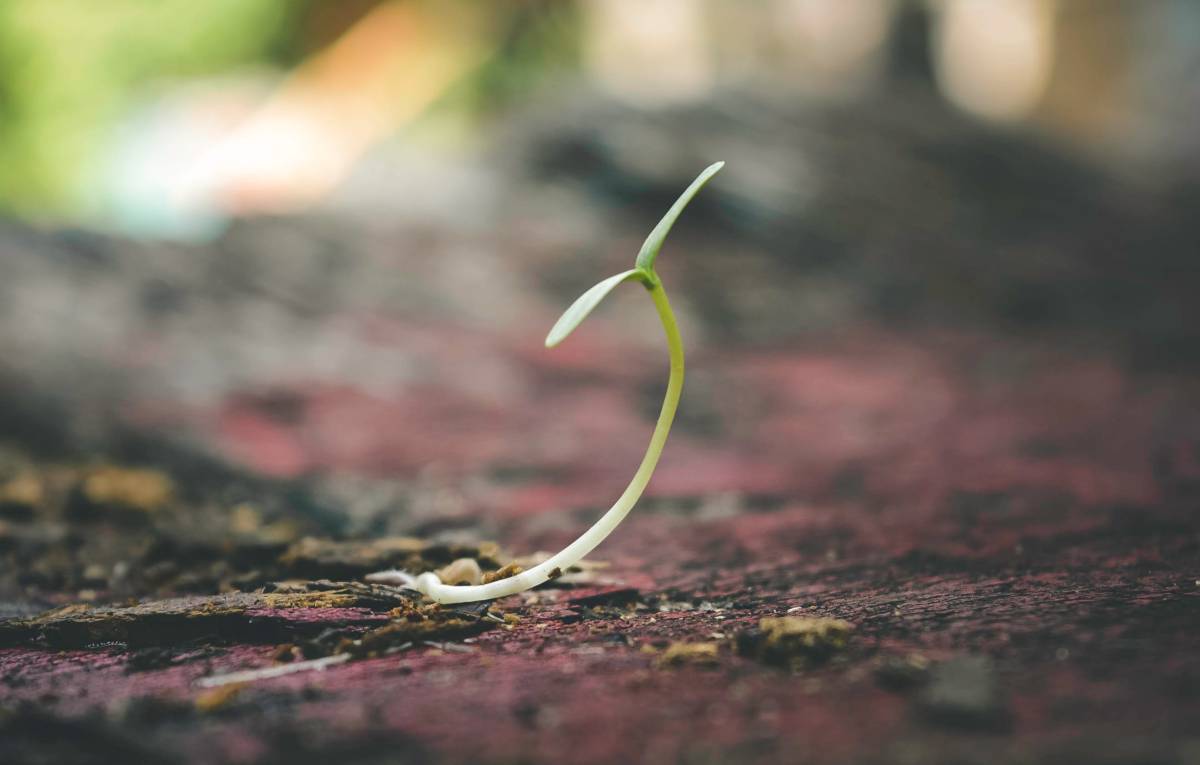 Is pre-seed funding all you’ll ever need?